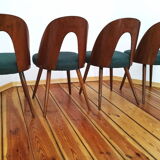 Set of four chairs, designed by A. Suman, Tatra Nabytok, Czechoslovakia, 60s