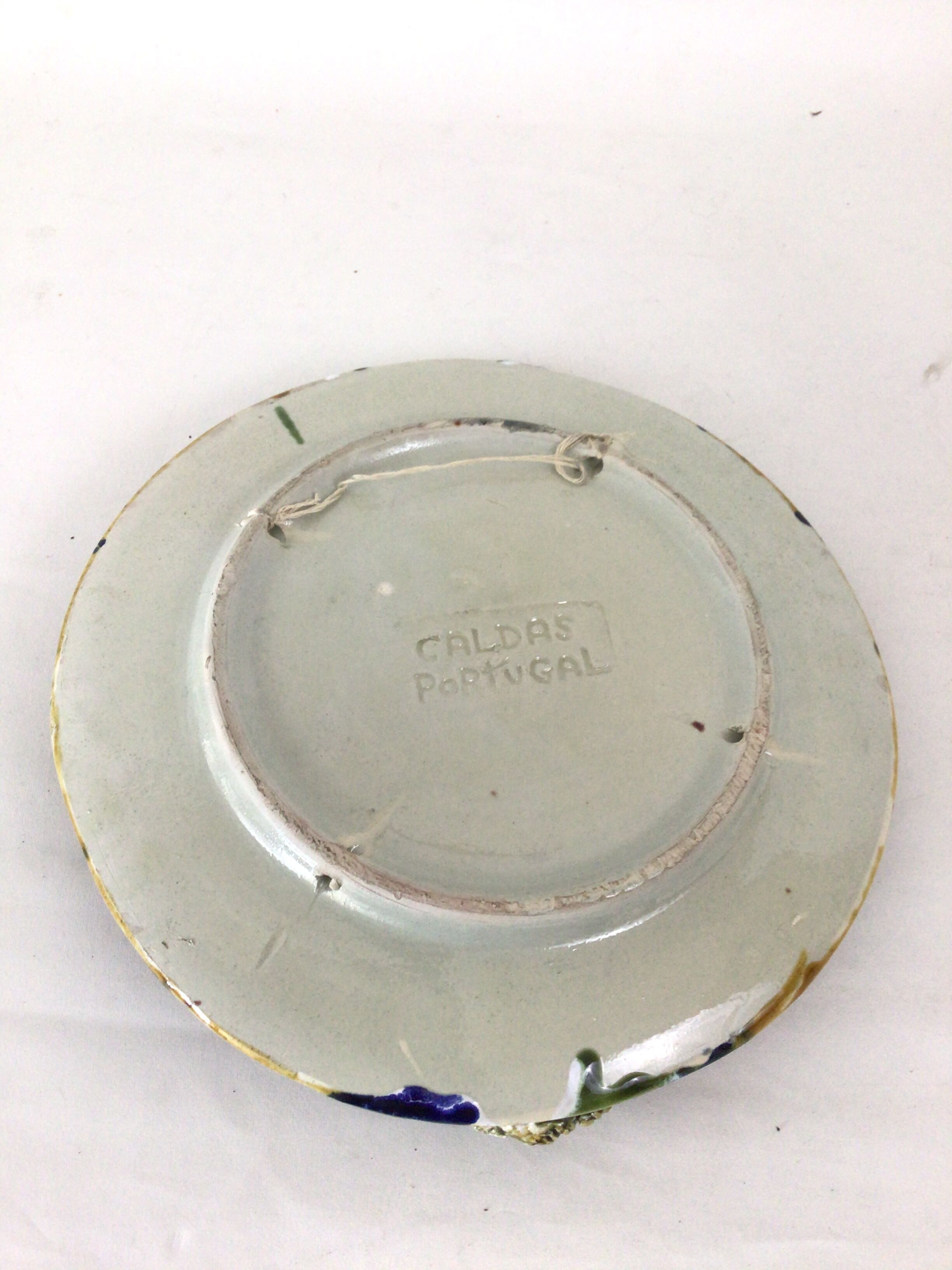 Naturalistic plate Spider earthenware of Caldas