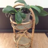 Mobile rattan bar