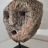 Coral mask