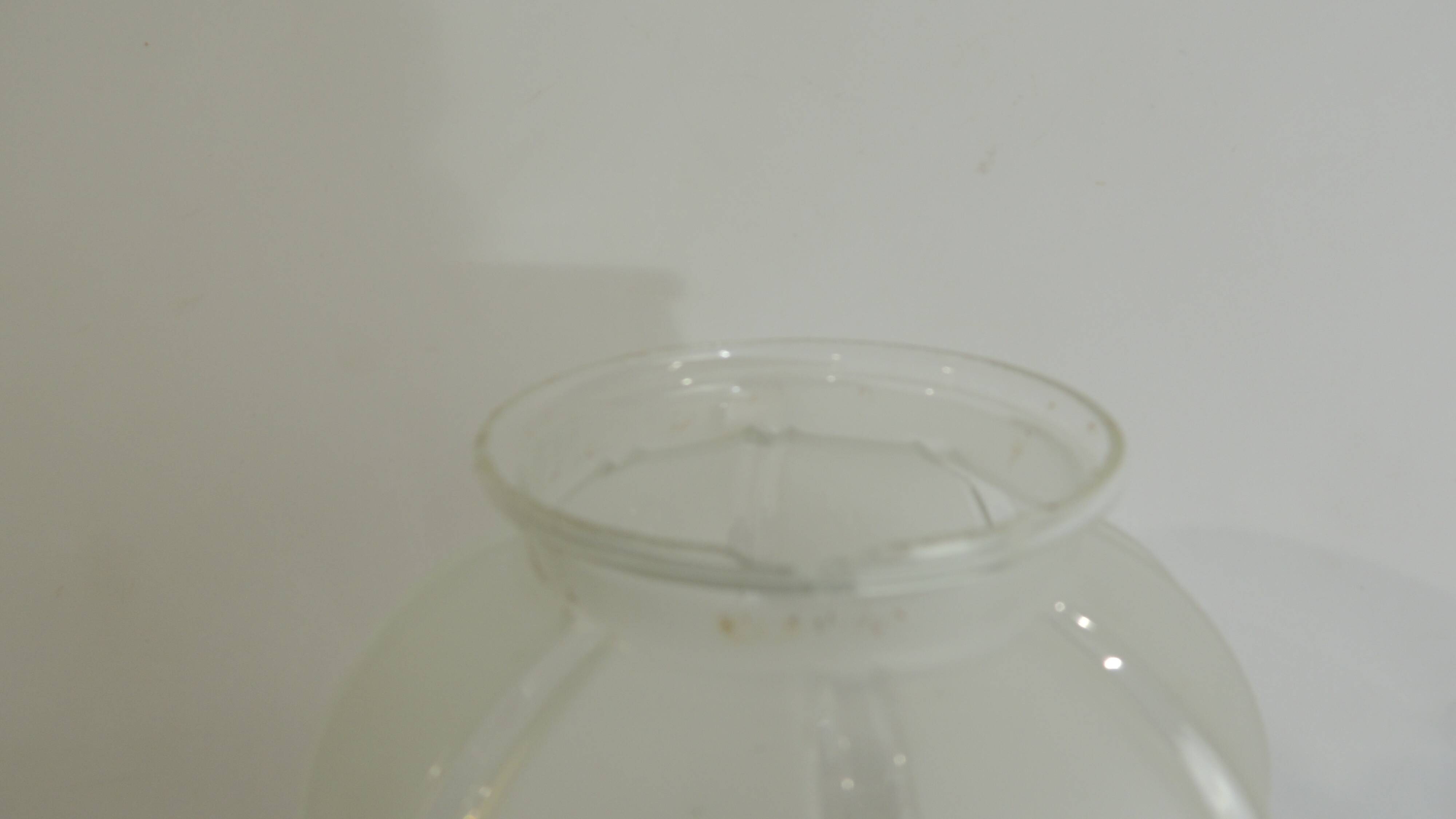 Set of 4 tulip globes vintage glass lampshades from the 70s-80s – Opaline b