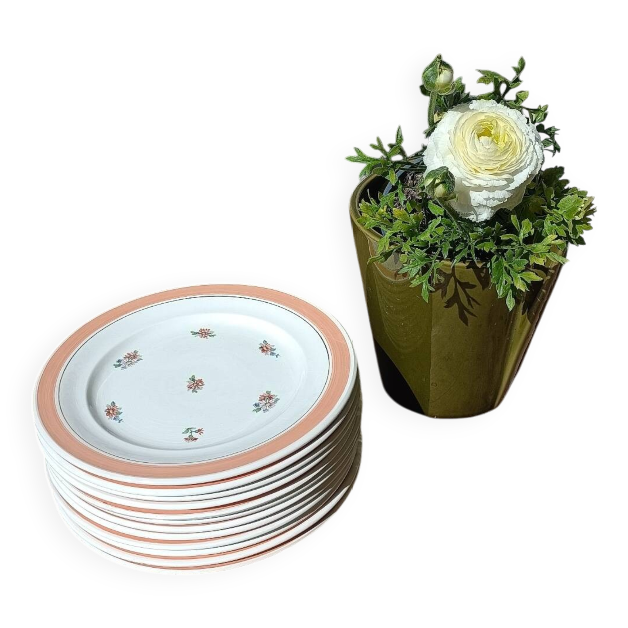 Set of 12 floral dessert plates