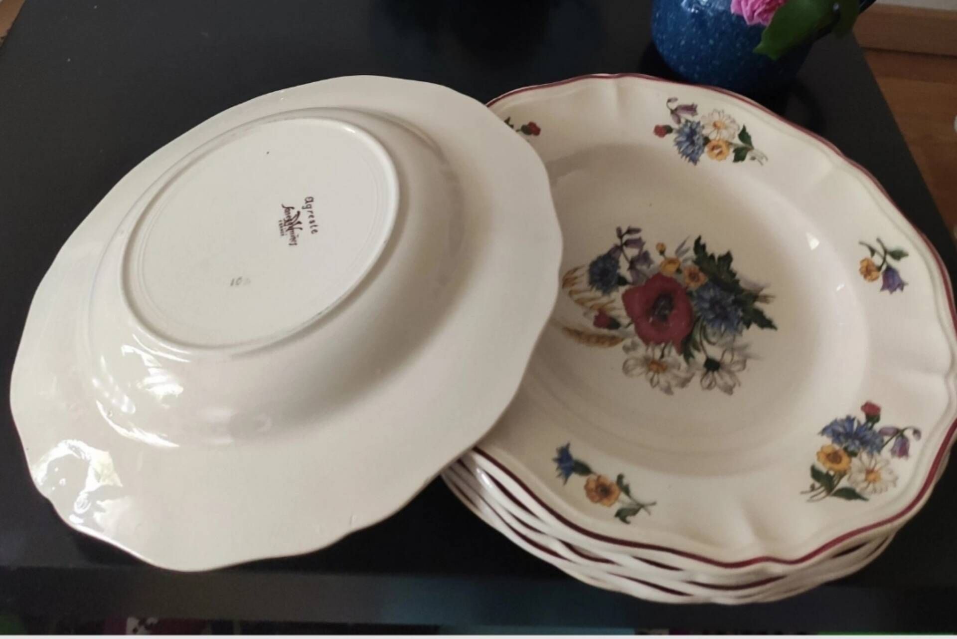 Set of 6 Sarreguemines Agreste plates