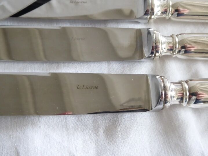 Set of 12 table knives in silver metal