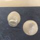 Globes for art deco wall lamp
