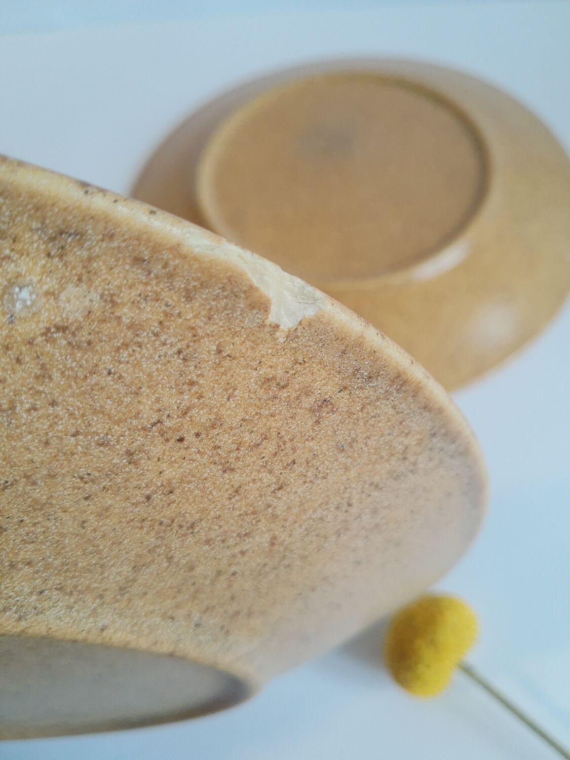 Trio of vintage Chantilly France stoneware dinner plates