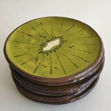 Kiwi Plate 20 cm