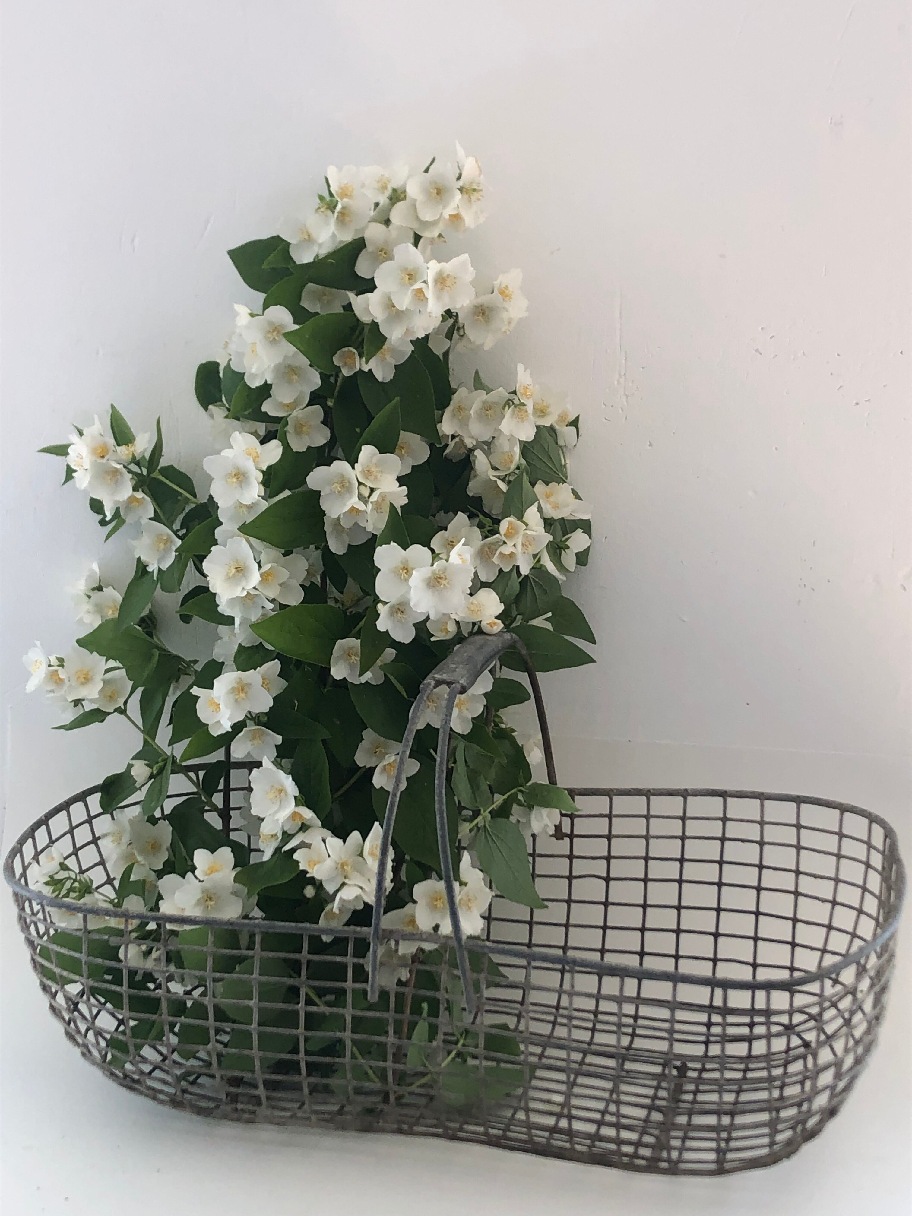 Metal garden basket