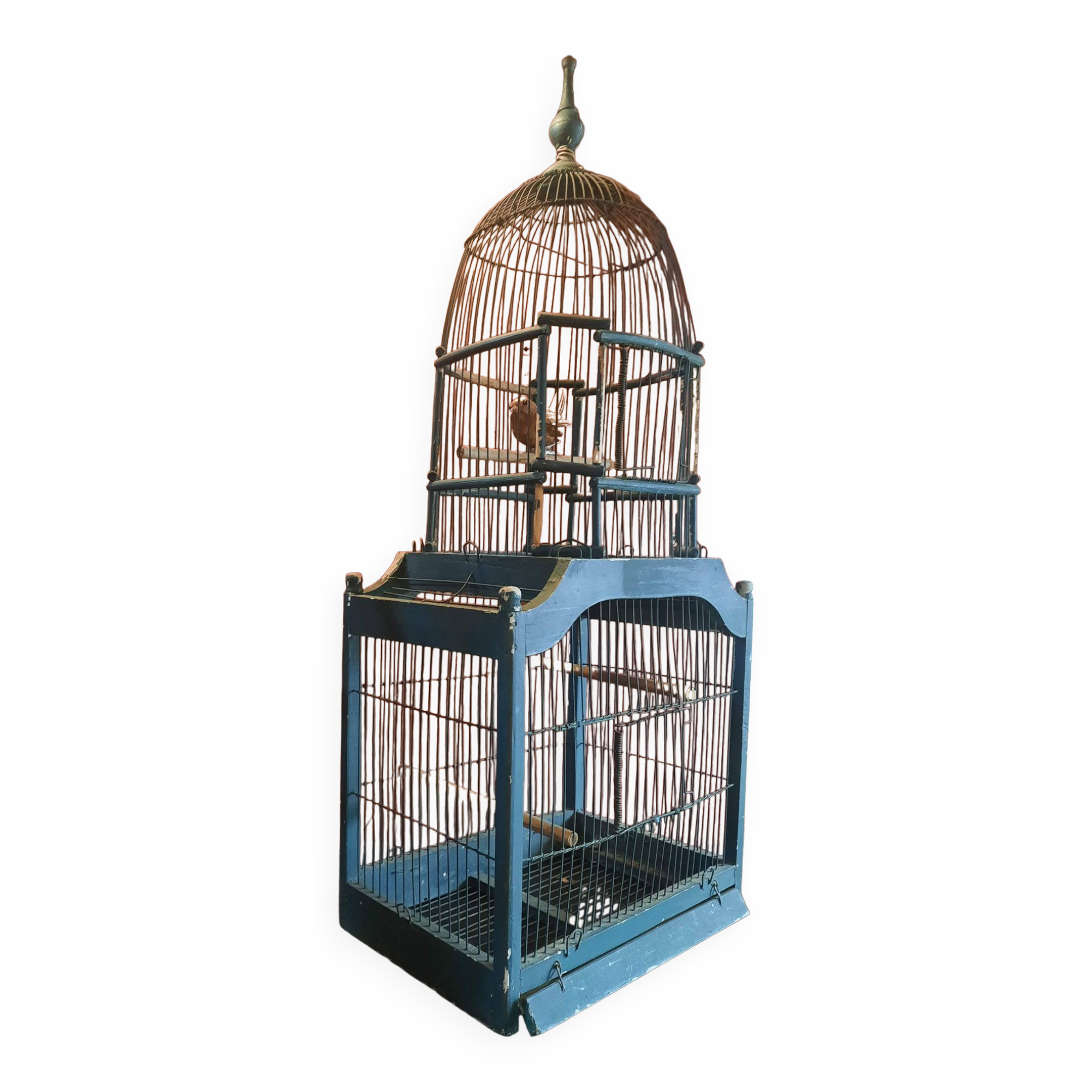 Victorian bird cage
