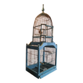 Victorian bird cage