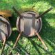 3 chaises bistrot