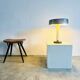 Model Tp-8079 Mushroom Table Lamp By Niek Hiemstra For Hiemstra Evolux, The Netherlands 1960S