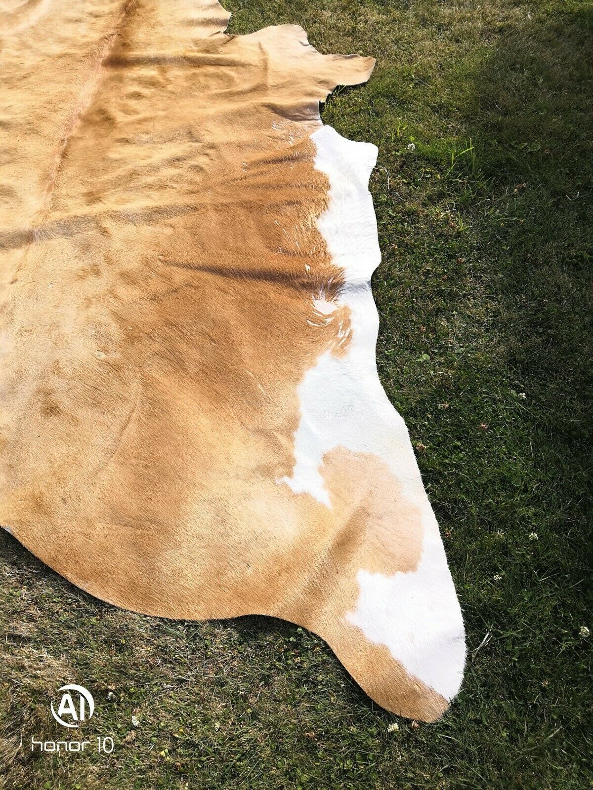 Tapis peau de vache