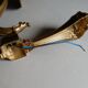 Brass wall lamp chandelier a flame