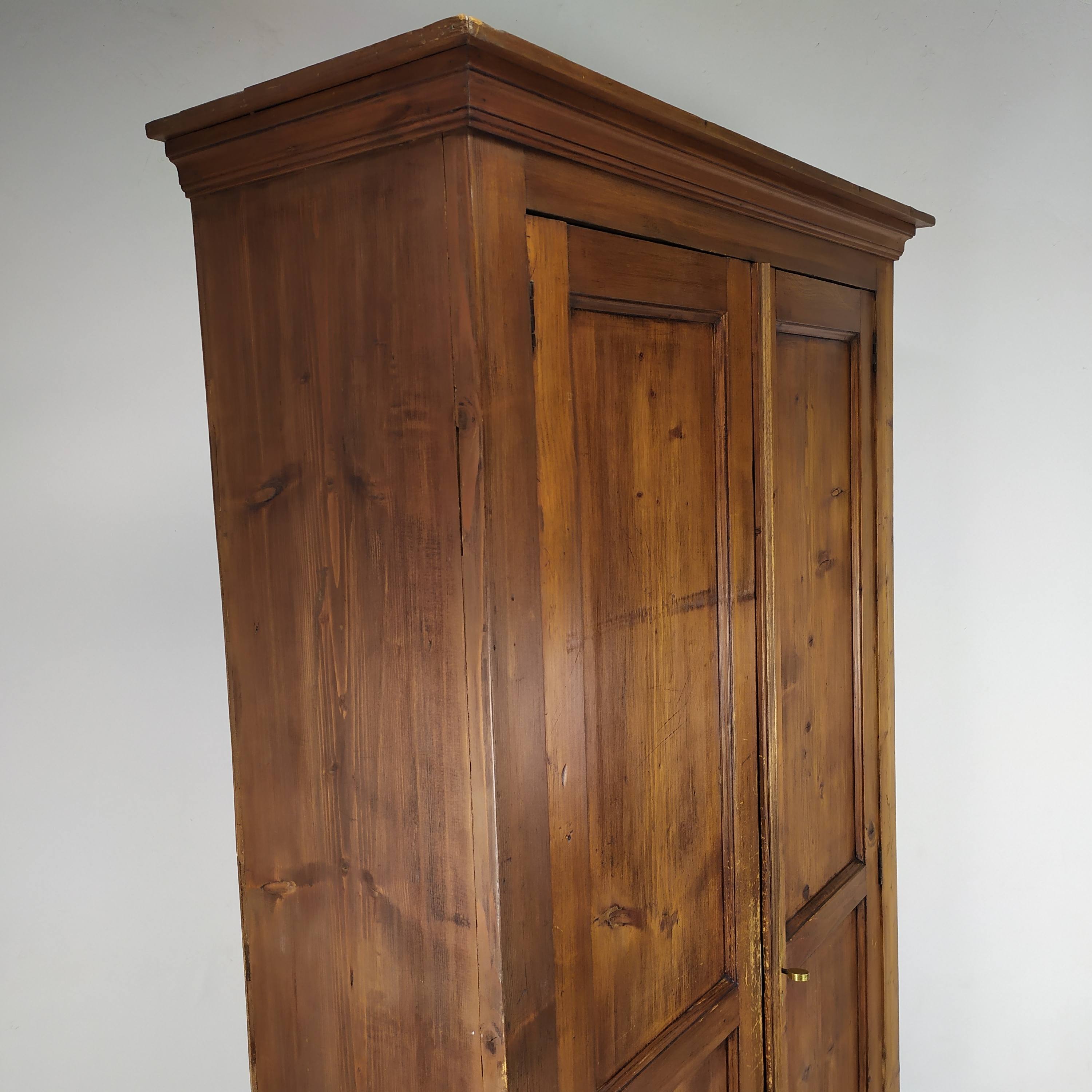Parisian wardrobe fir tree