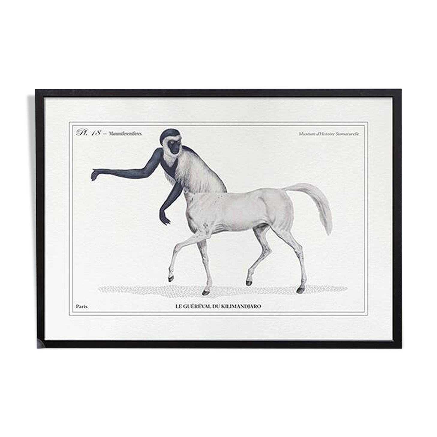 Chimera lithograph engraving animal - the guéréval