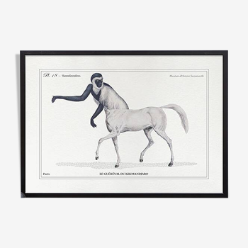 Chimera lithograph engraving animal - the guéréval