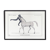 Chimera lithograph engraving animal - the guéréval