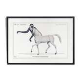 Chimera lithograph engraving animal - the guéréval