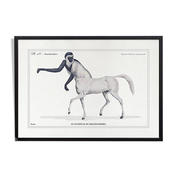 Chimera lithograph engraving animal - the guéréval