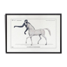 Chimera lithograph engraving animal - the guéréval