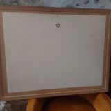 Mergus merganser frame