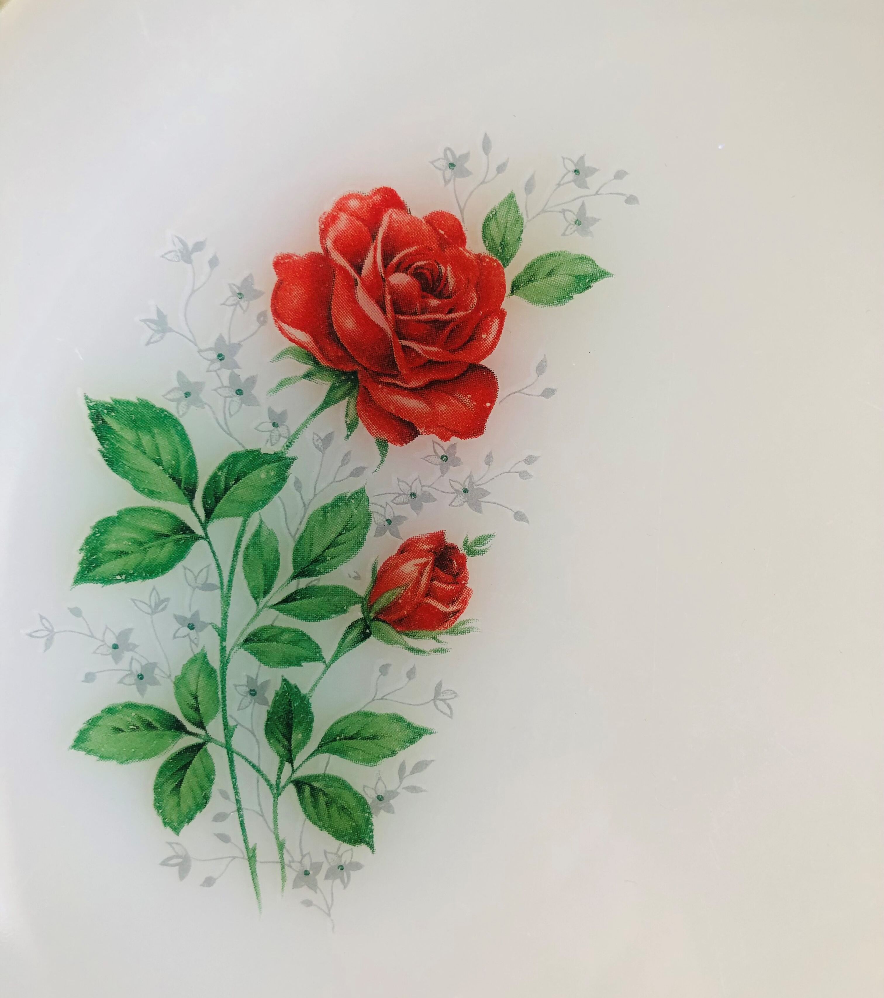 6 dessert plates in arcopal