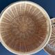 Round handmade basket in fine wicker and bamboo, diameter 19 cm.