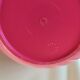Vintage apple with ice cubes apple pink bucket
