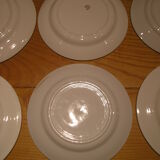 Set of 6 different flat plates