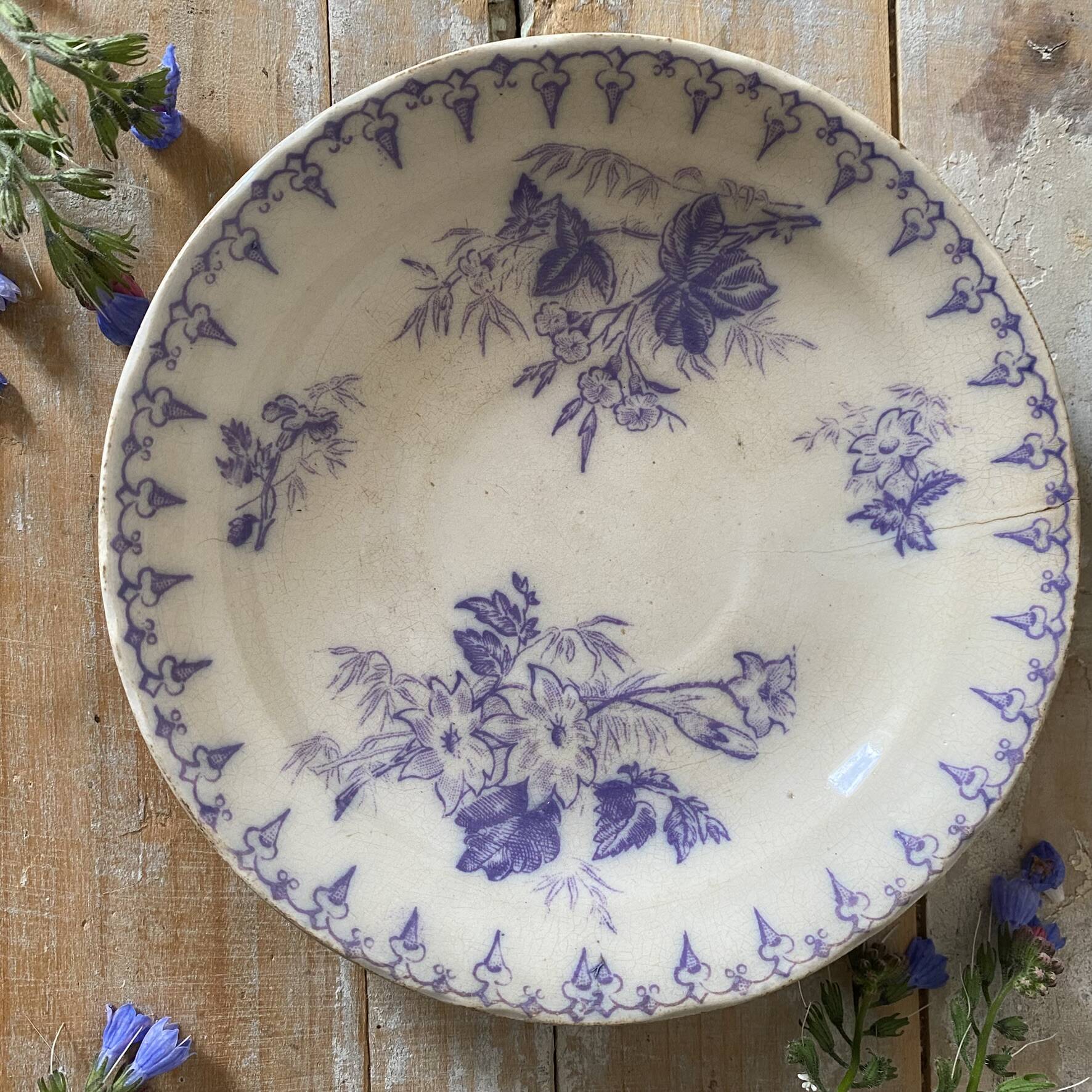 Assiettes en terre de fer décor Flore , coupelles  anciennes