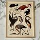 Illustration oiseaux encadrée
