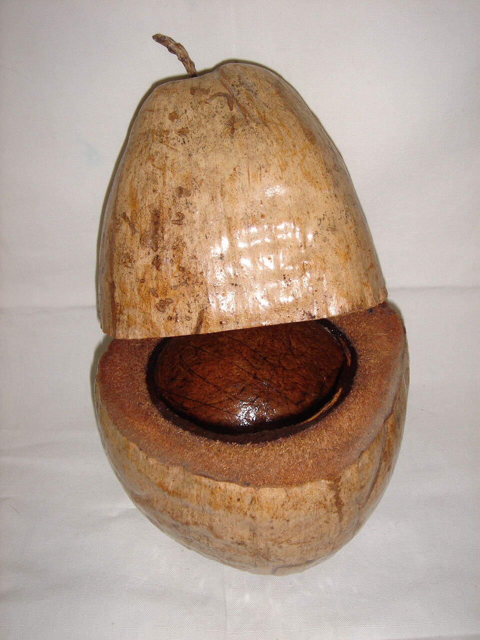 Ice bucket, naturalized coconut from 1970