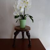 Tripod stool cep wood