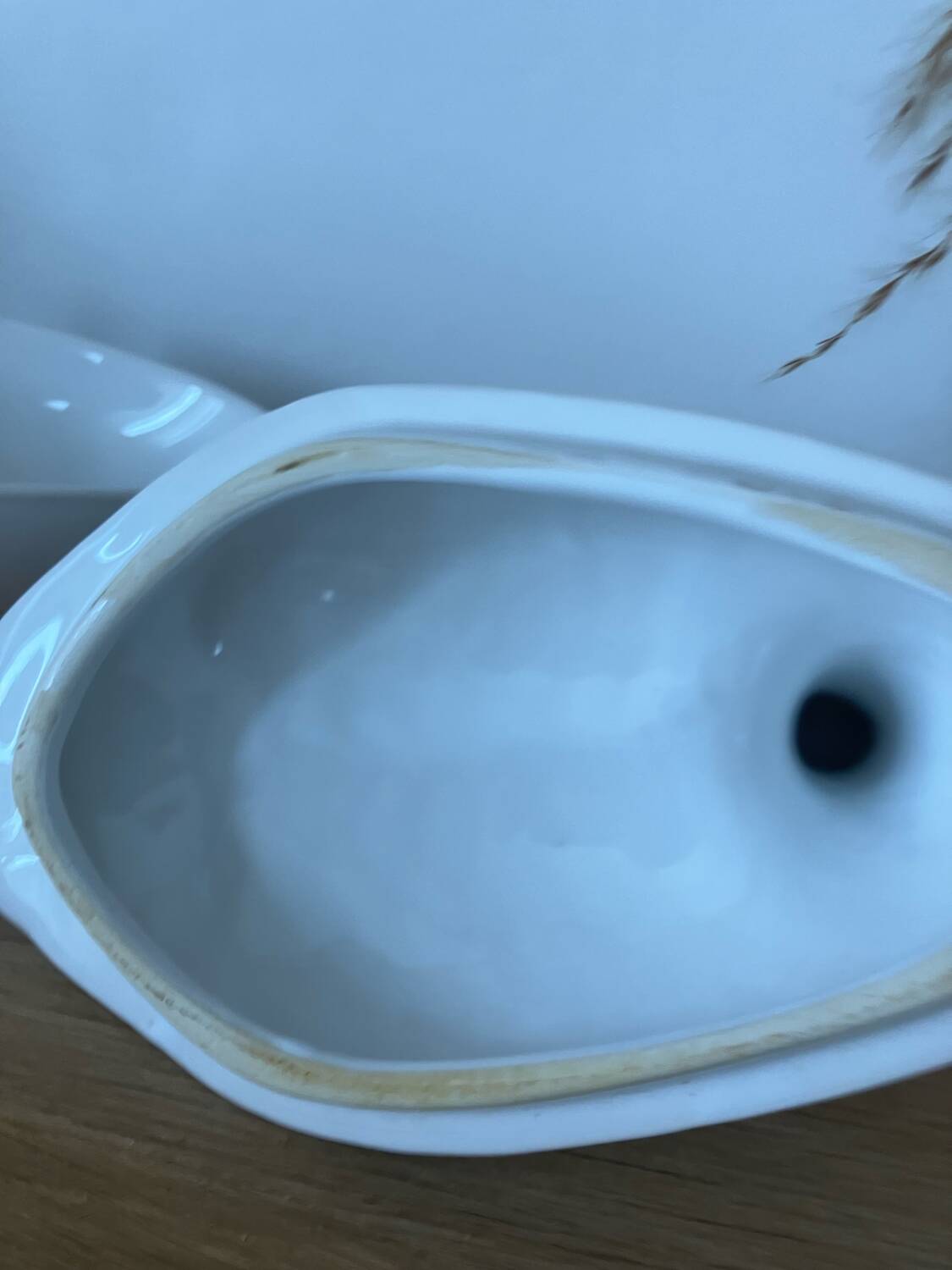 Vintage-beautiful earthenware terrine-white goose