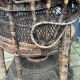 Vintage Emanuel’s Peacock Chair by Trio Noordwolde 1970’s