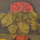 Pink hydrangea with fruit by Olax