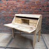 Secretary, late 19th century