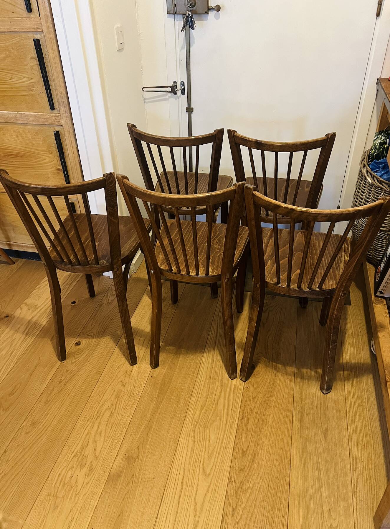 (Lot) 5 Baumann chairs model 83