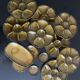 Gien earthenware oyster service