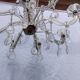 4 vintage crystal chandelier pendants
