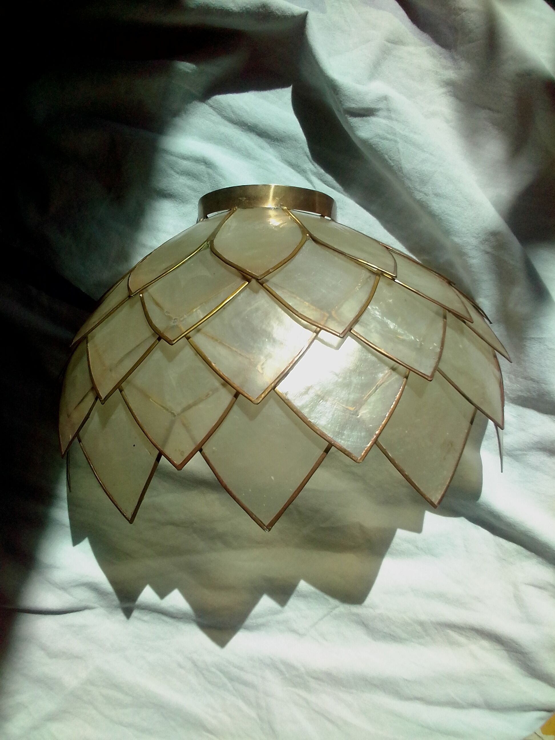 Lotus wall lamp
