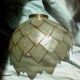 Lotus wall lamp