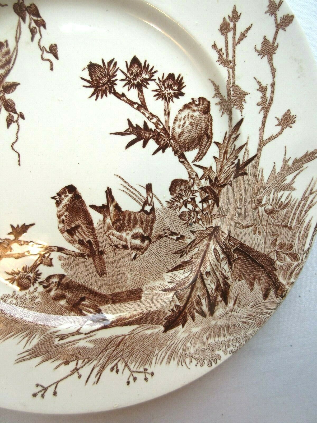 【美品】Creil et montereau CHARDONNERET 3609 Assiette Terre de Fer Art Nouveau signée Creil Montereau