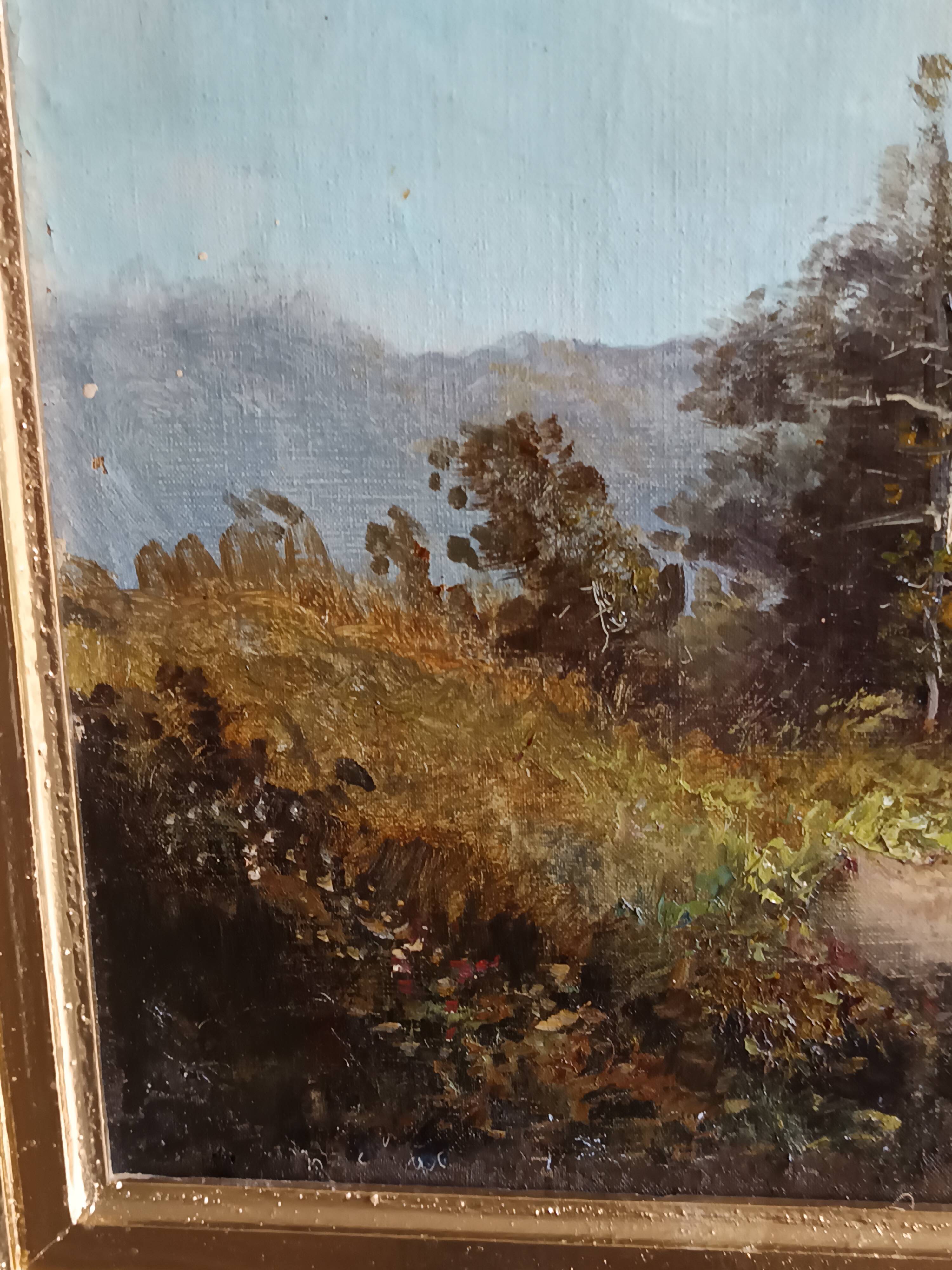 oil on canvas 19th century landscape of the Pyrenees by Alfred Godchaux