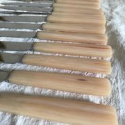 Vintage resin and stainless steel knives