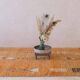 Orange Berber Rug - 272 x 163 cm