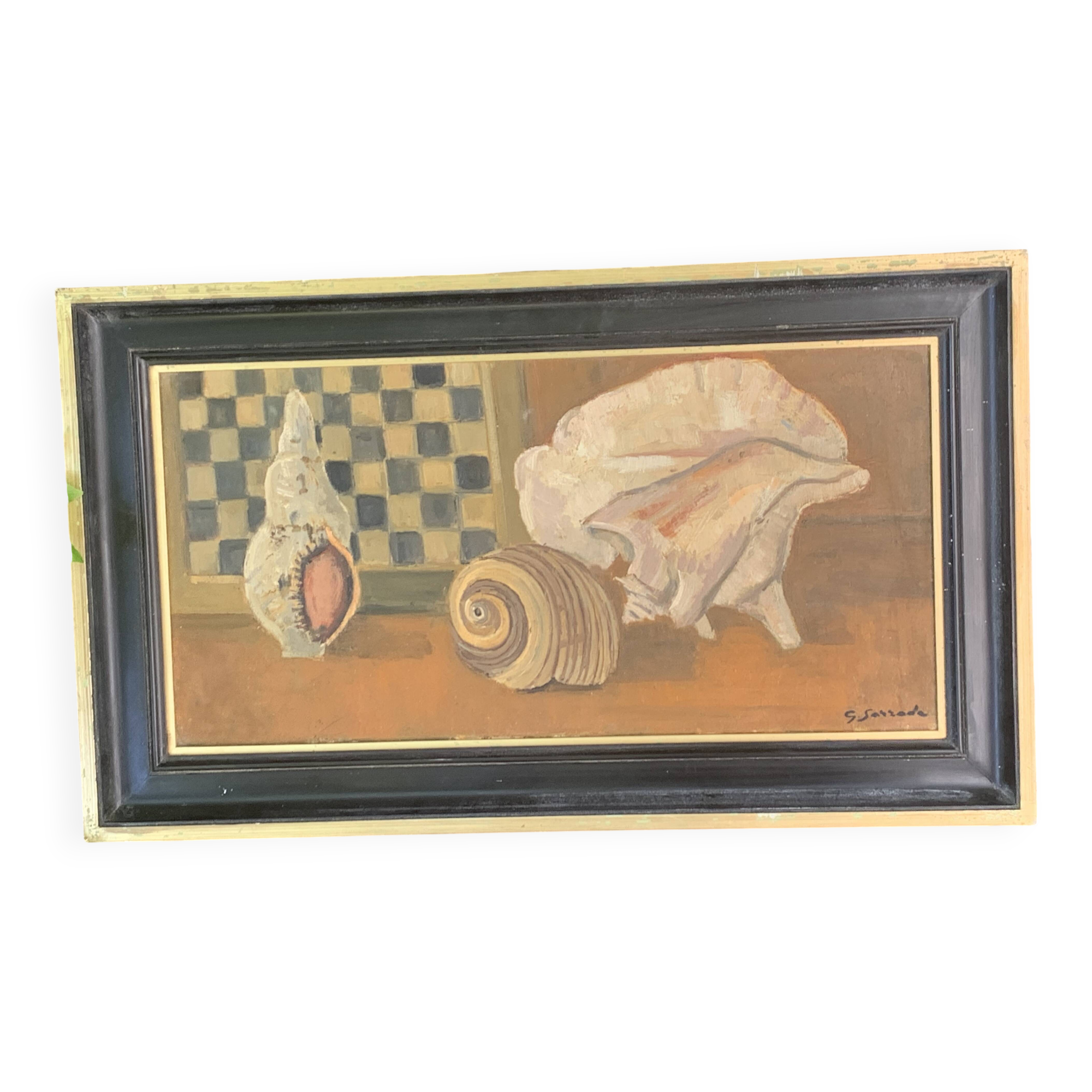 Large painting frames shells, cabinet of curiosities, sign