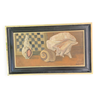 Grand tableau encadre les coquillages, cabinet de curiosités, signe