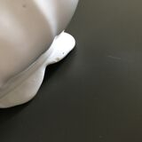 White scalloped gardener